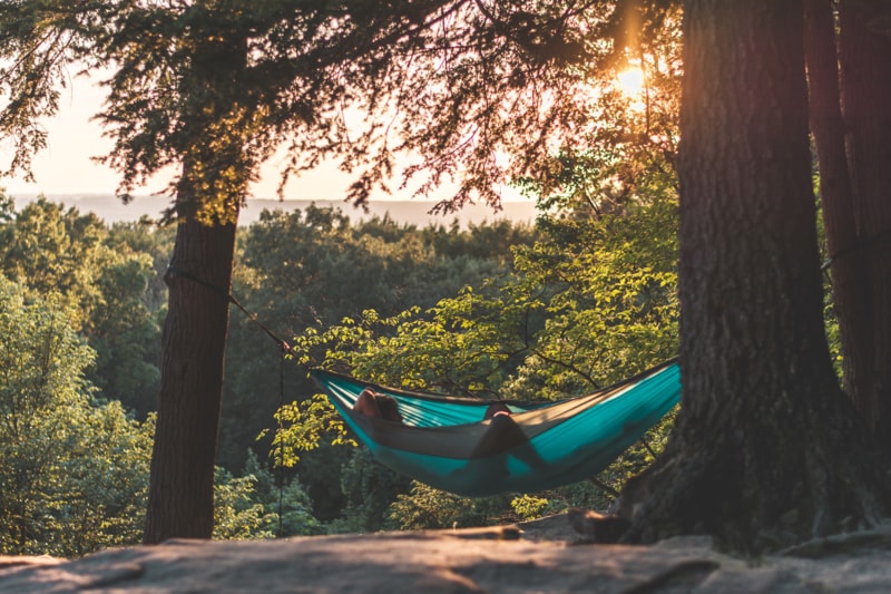 a person lounges in a hammock in the forest