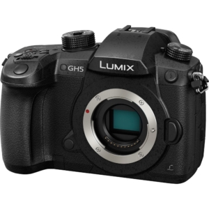 Pansonic Lumix GH5 is one of the best cameras for travel photography