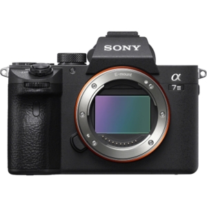 The full-frame Sony a7 III is one of the best cameras for travel photography
